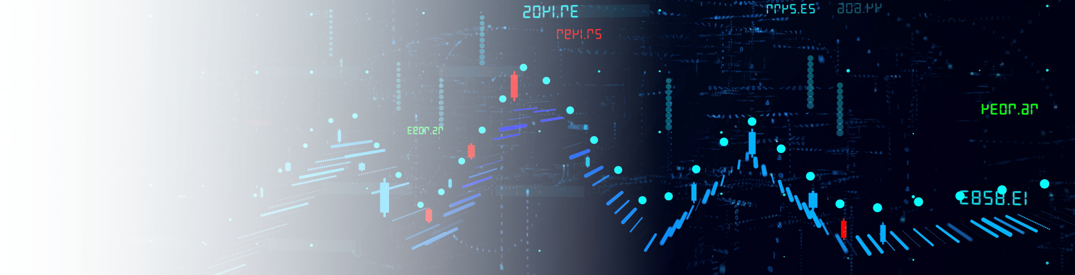 Software & Website Banner