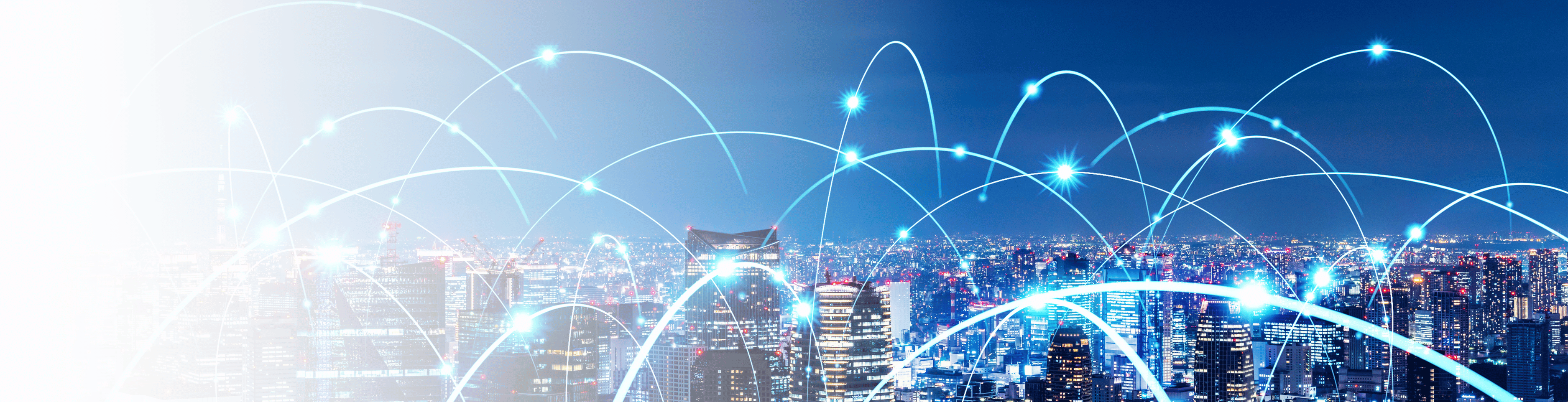 Software & Website Banner